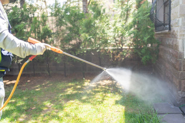 Best Wasp Removal Services  in Prairie City, IA