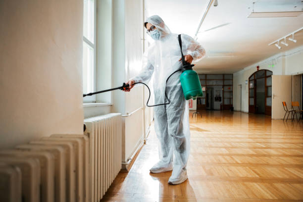 Flea Control Services in Prairie City, IA
